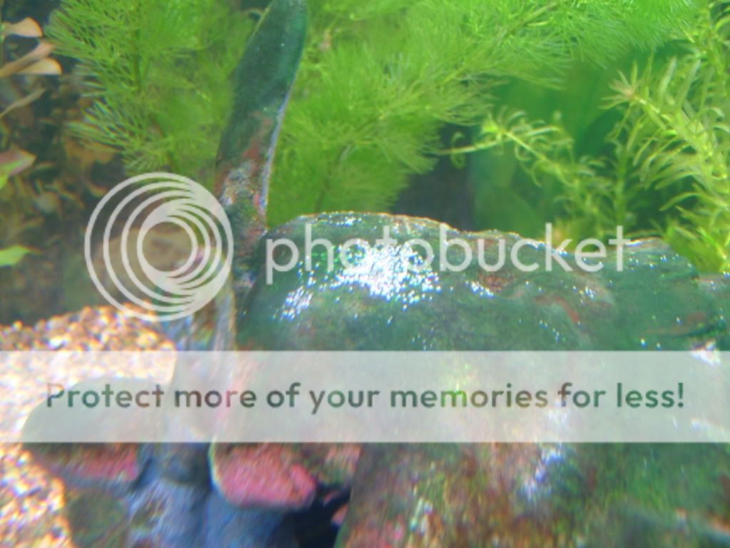 DSCF3891.jpg