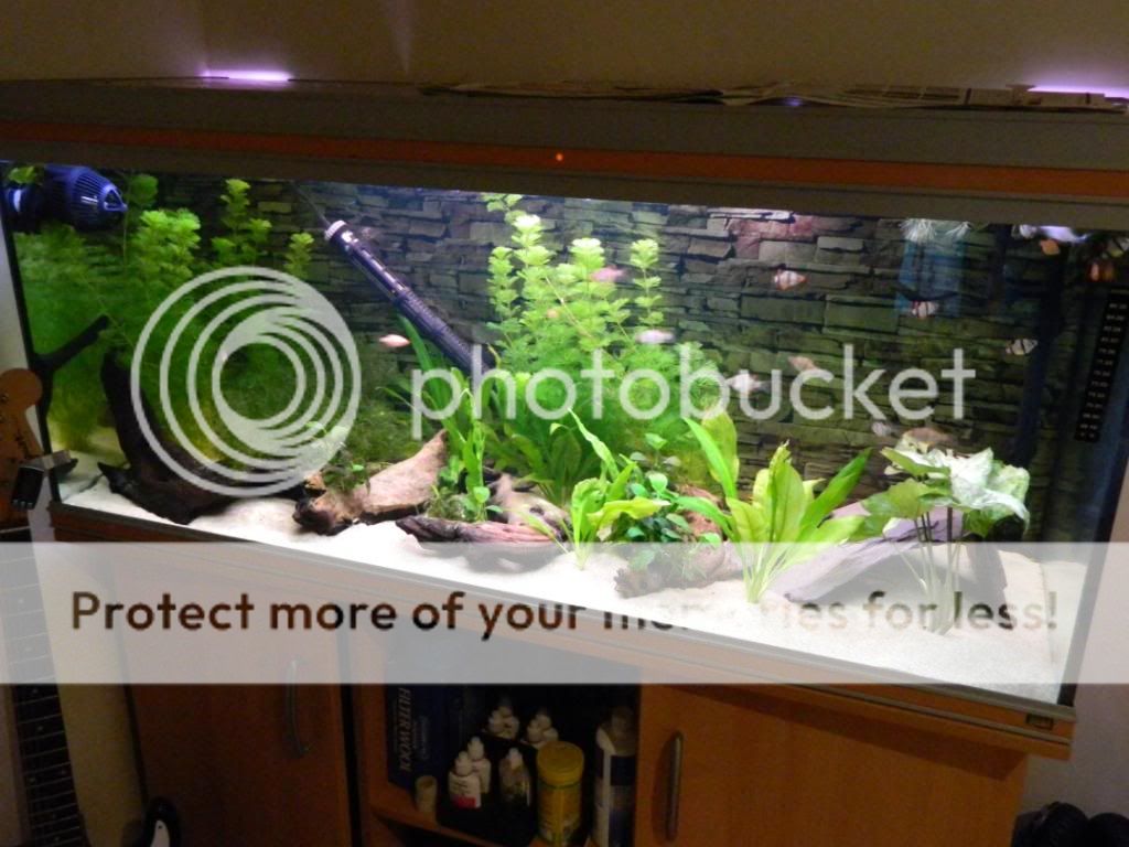 DSCN0113.jpg
