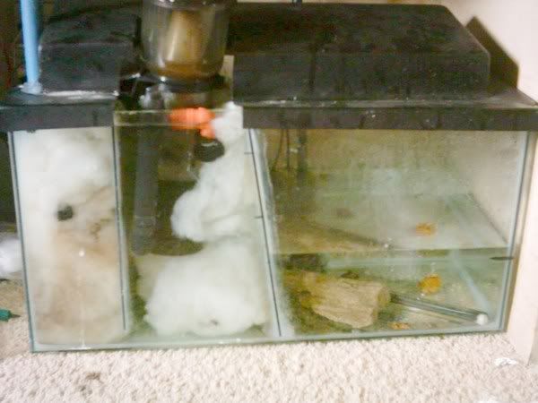 Sump.jpg