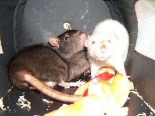 DSCF2841.jpg