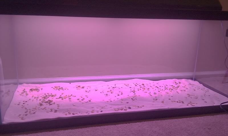 IMAG0121.jpg