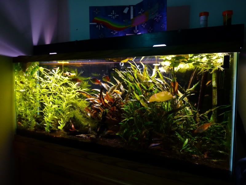 P1230788.jpg