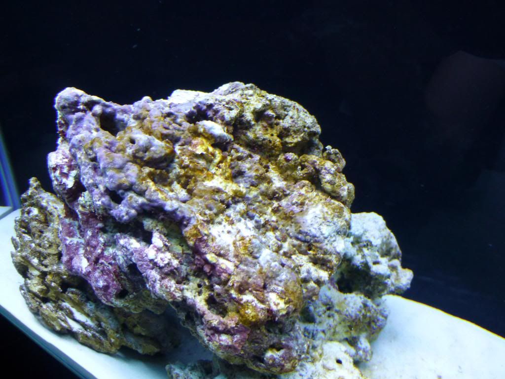 P1000090.jpg