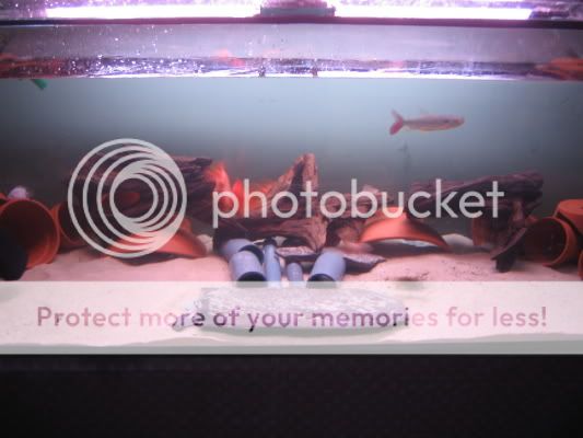 tank3.jpg