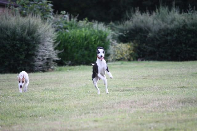IMG_0260.jpg