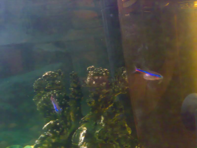 20062007327.jpg