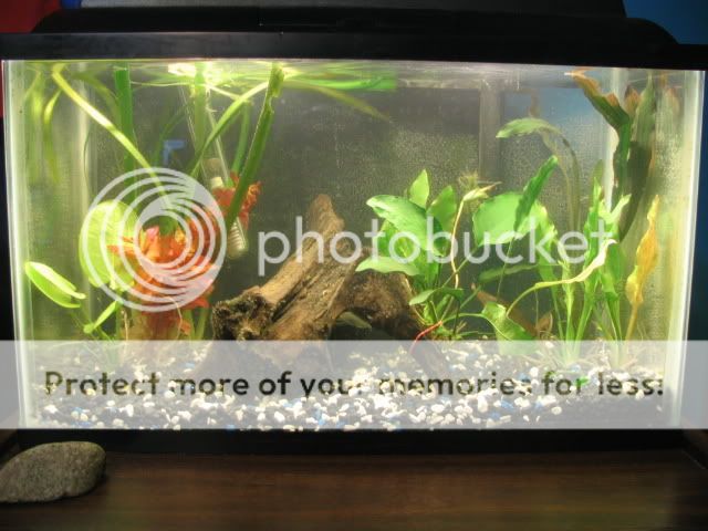 Picture096.jpg