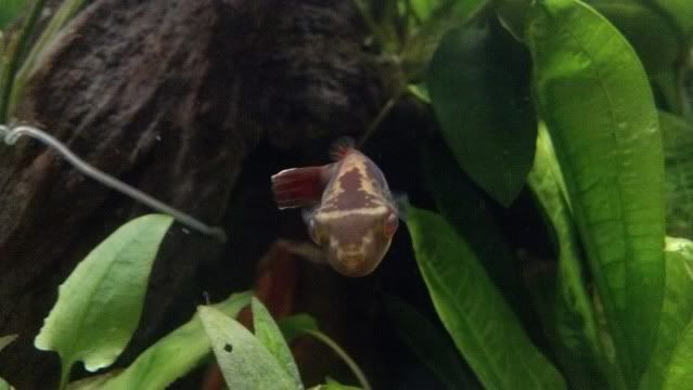 2012-07-31_19-08-21_16.jpg