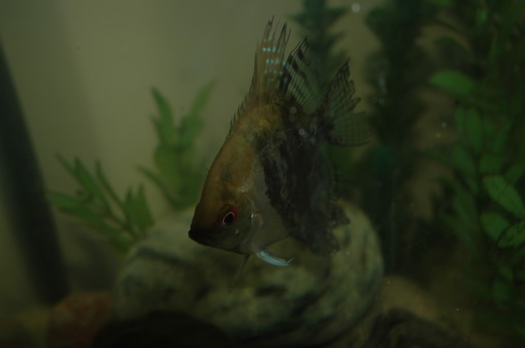 DSC_4869.jpg
