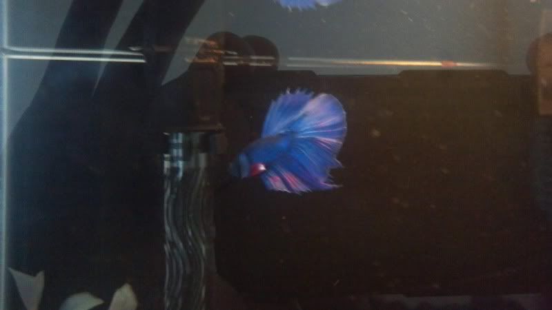2012-10-06_12-54-07_930.jpg