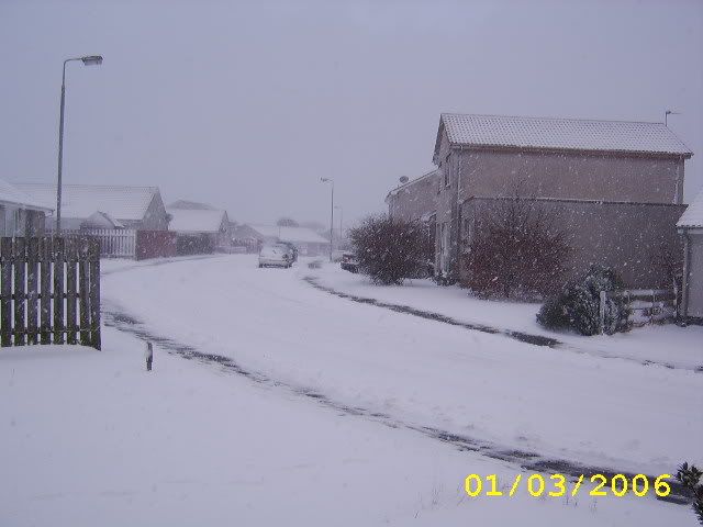Del014.jpg
