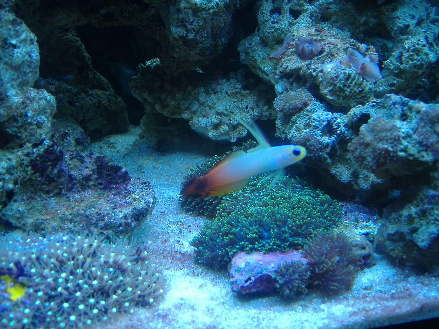 DSCF0630.jpg