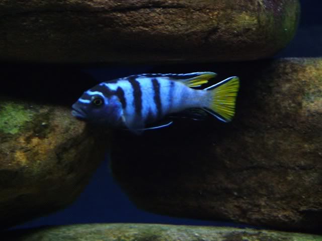 DSCF2820.jpg