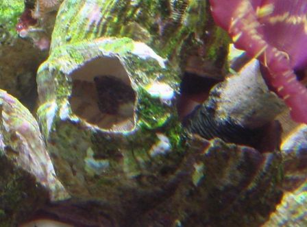 fts10.jpg