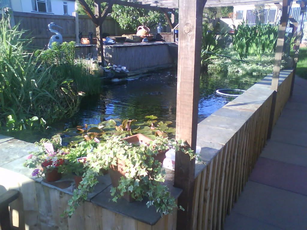 DSC00263-2.jpg
