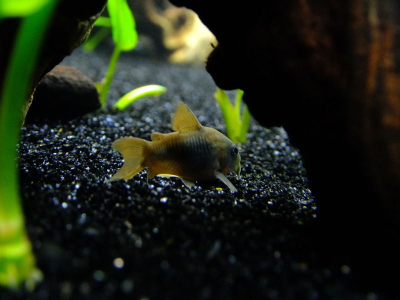 DSCF3616.jpg