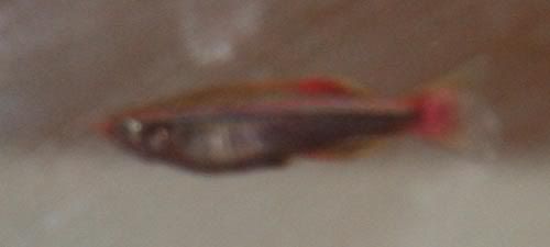 IMG_76281.jpg