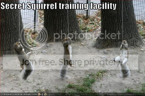 squirreltraining.jpg
