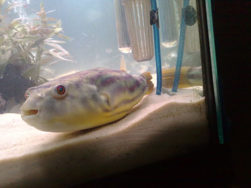 16122008397.jpg