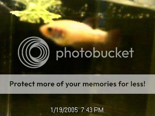 Picture51.jpg