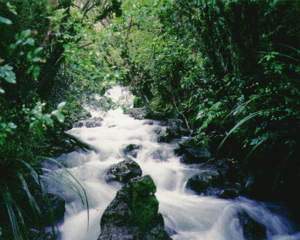 stream.gif