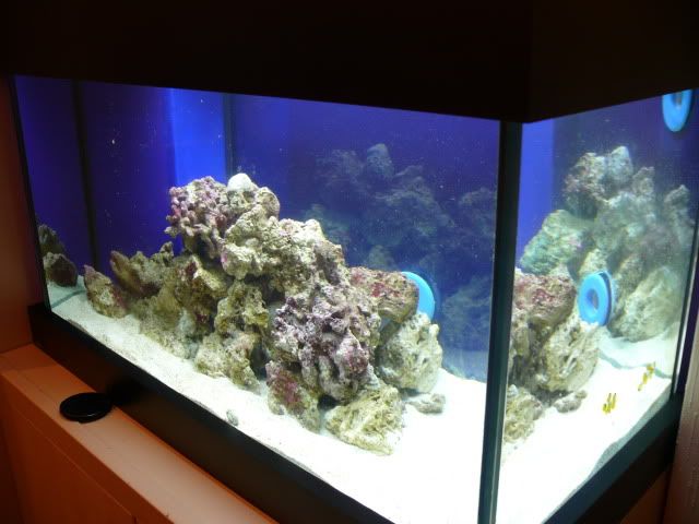 P1040054.jpg