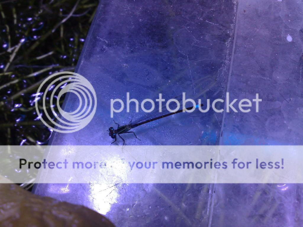 13082009804.jpg