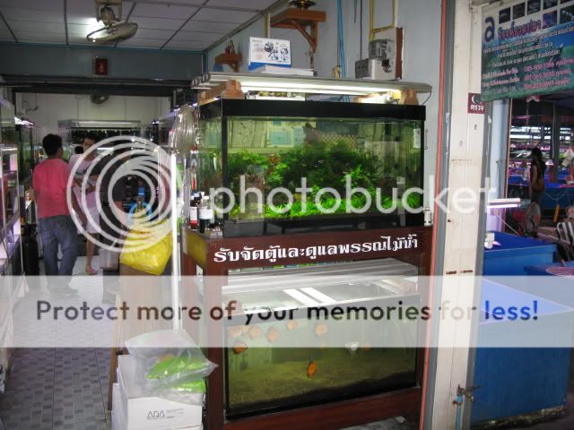 IMG_9755.jpg