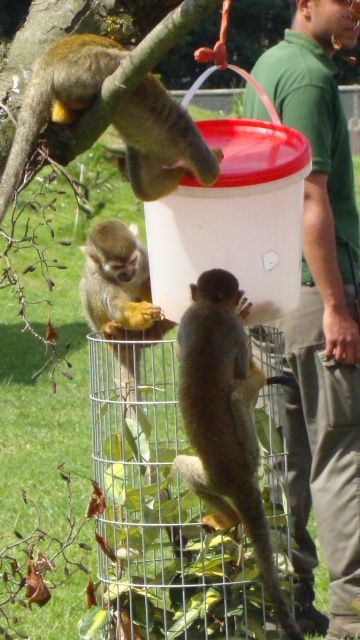 DSC01648.jpg