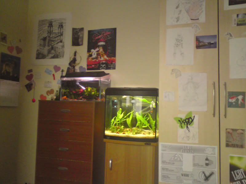 DSC04124.jpg