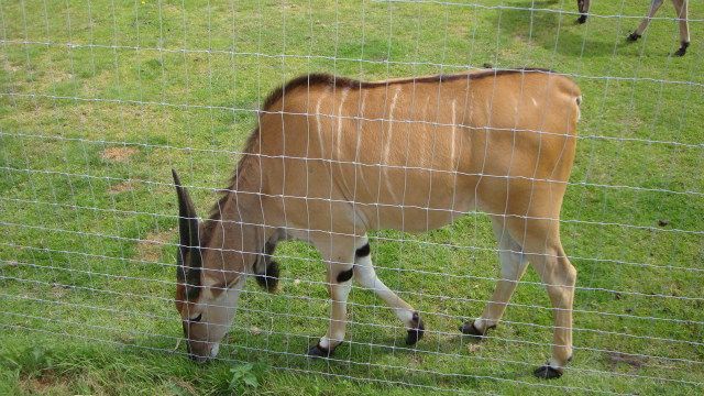DSC01626.jpg