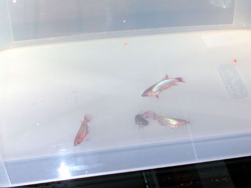 DSCN9461.jpg