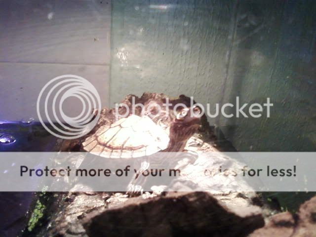 Photo-0003.jpg