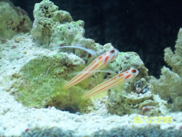 100_6296.jpg