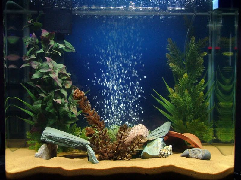 My75LTank.jpg