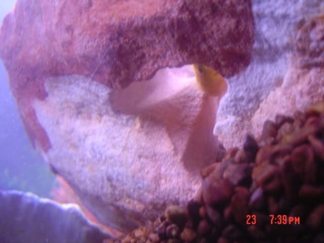 DSC03119.jpg