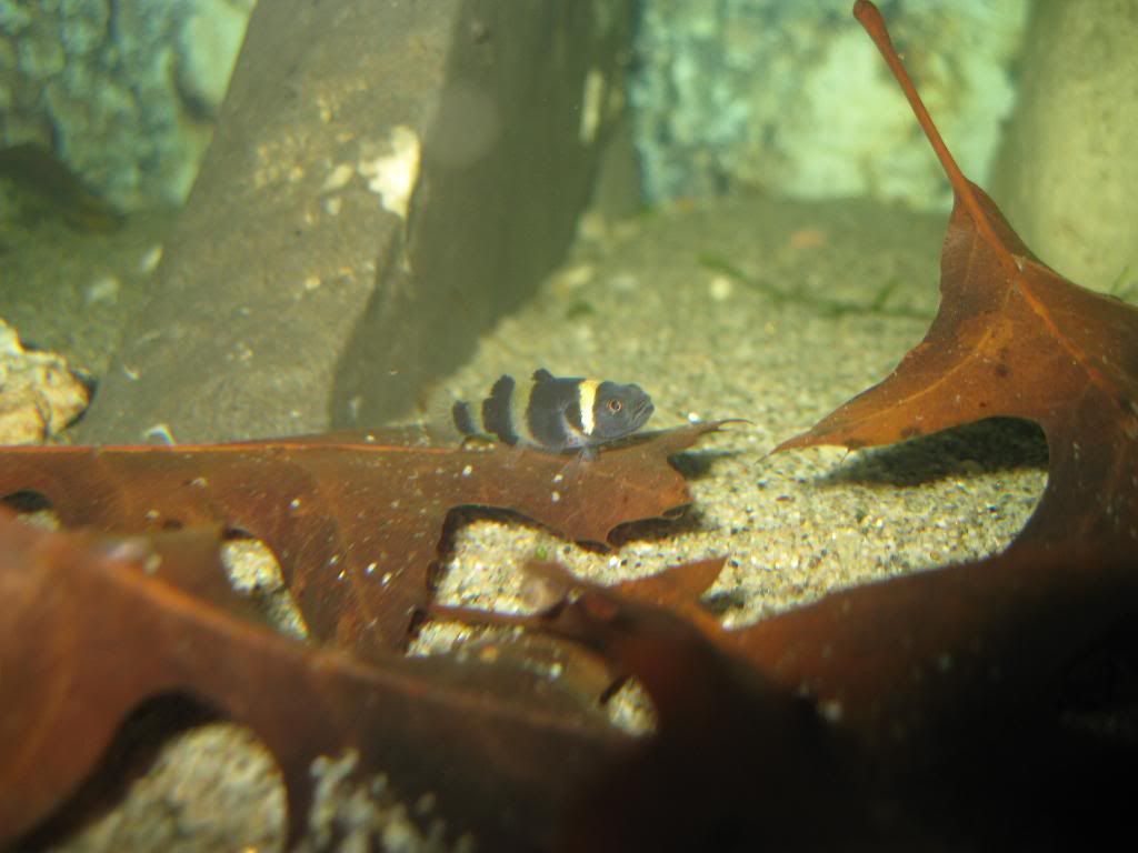 IMG_5516.jpg