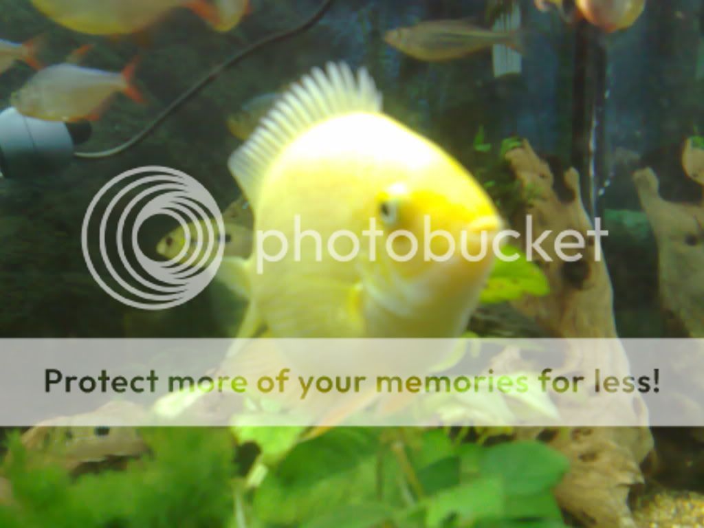 07052009232.jpg