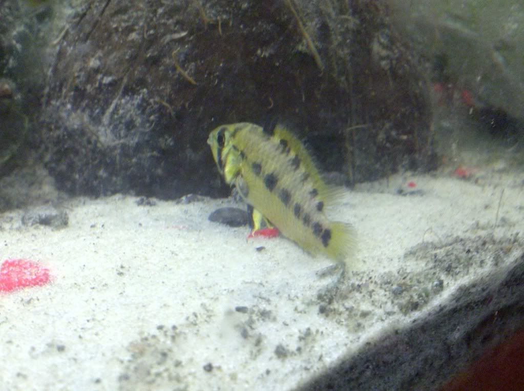 IMG-20111231-00151.jpg