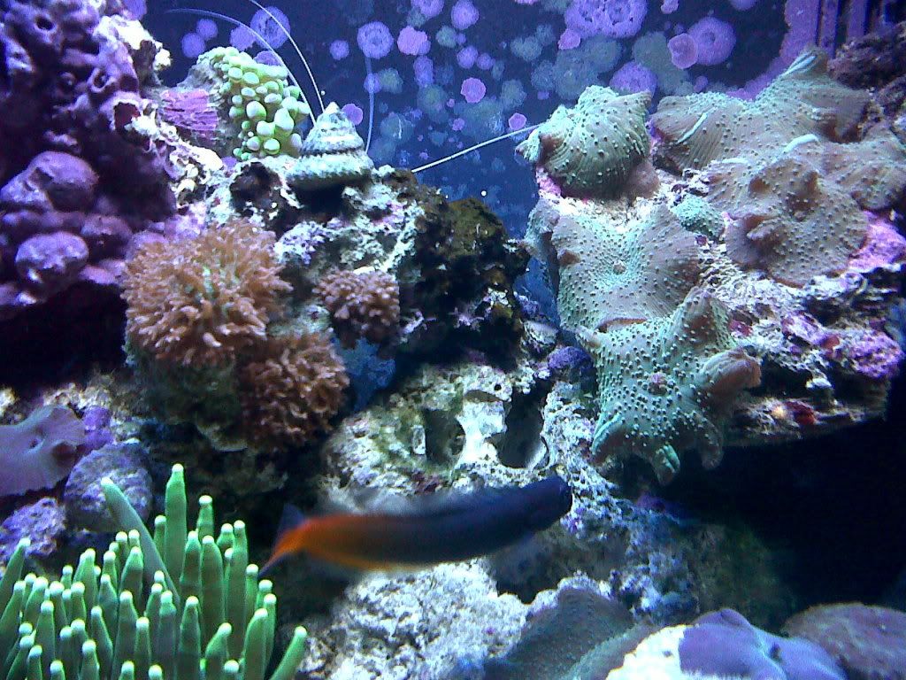 IMG00029-20100303-0805.jpg