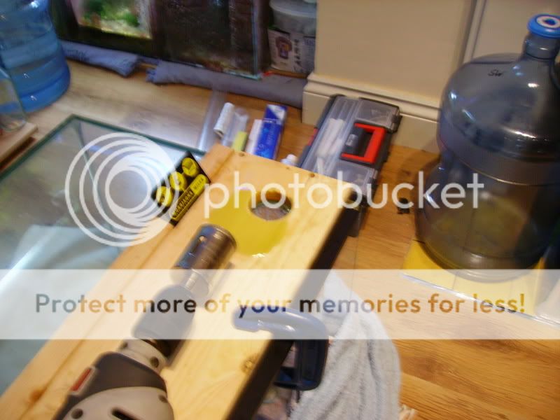 4footbuild008.jpg