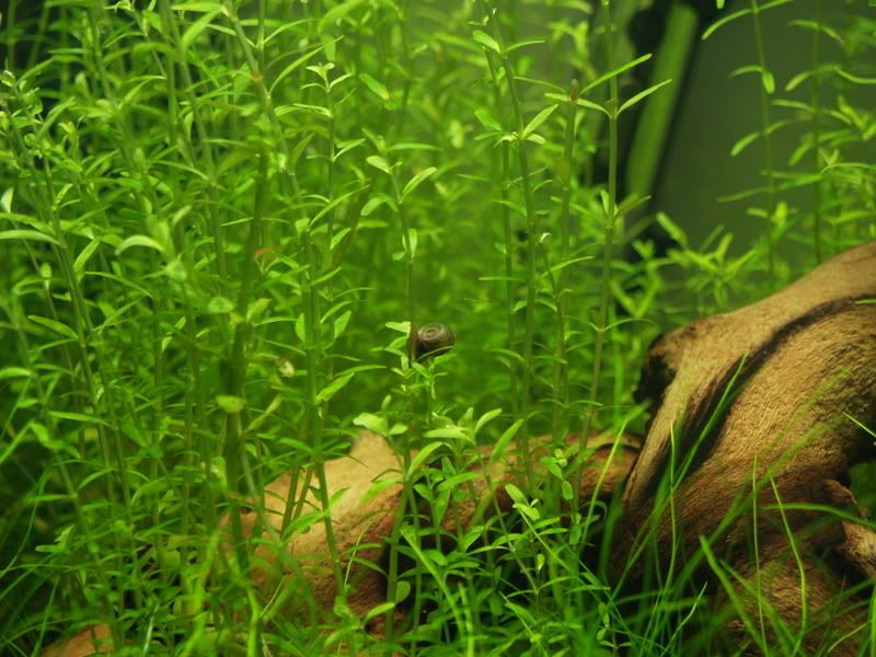 Cleancube002.jpg
