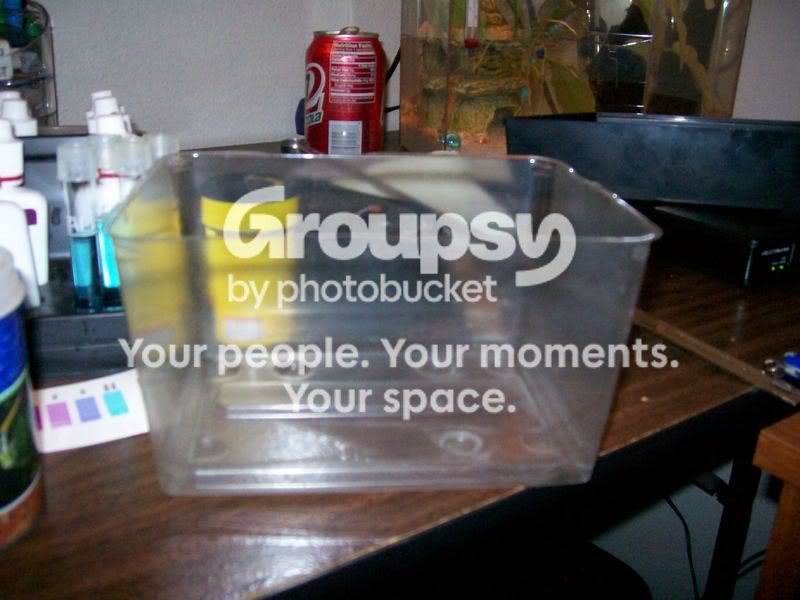 100_1123.jpg
