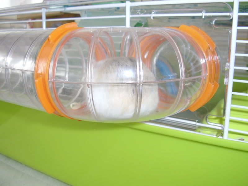 STA41759.jpg