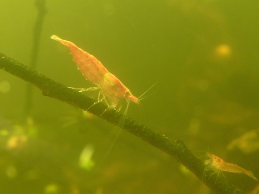 S7003635.jpg
