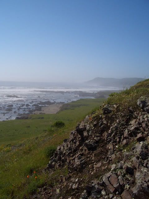 coastchert640.jpg