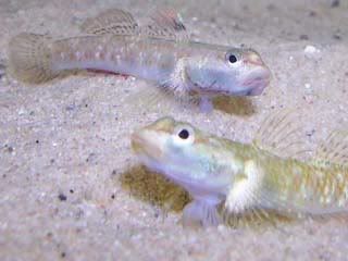 picture2.jpg