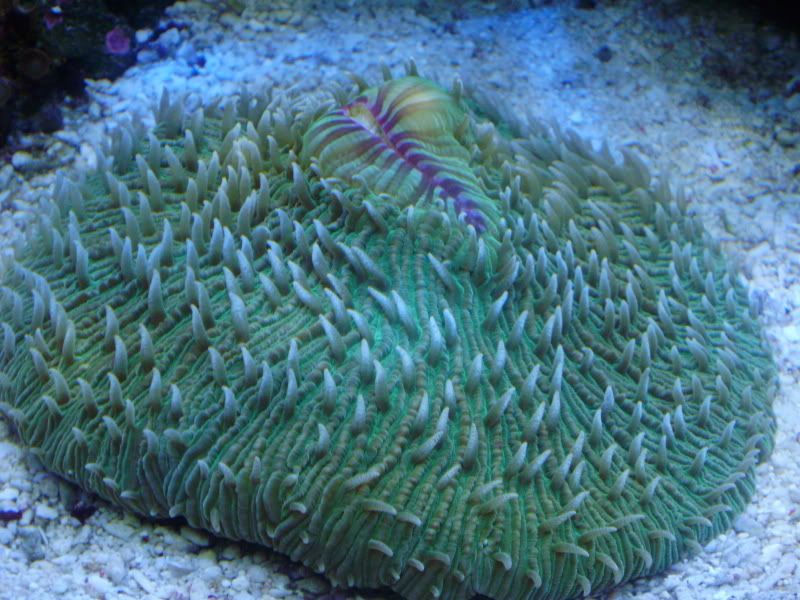 P6030255.jpg