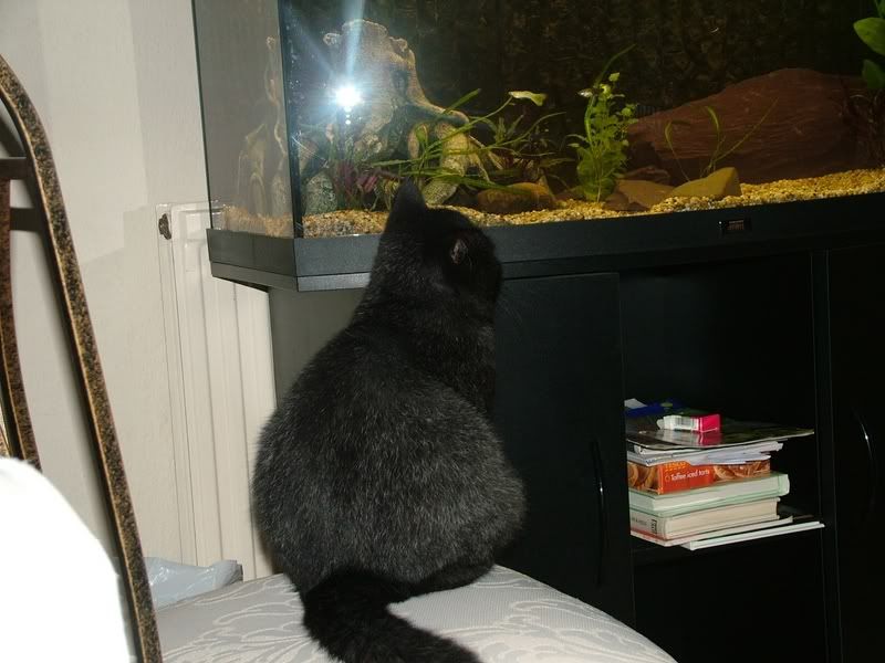 DSCF3550.jpg