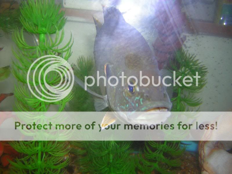 DSCN4583.jpg